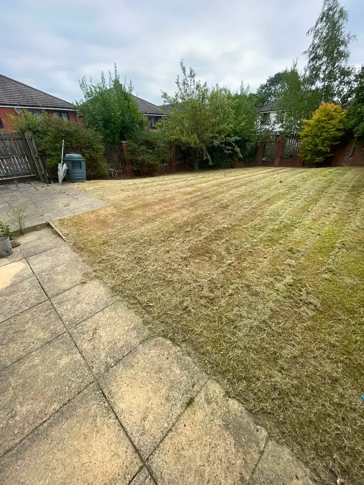 After: cleared and cut
