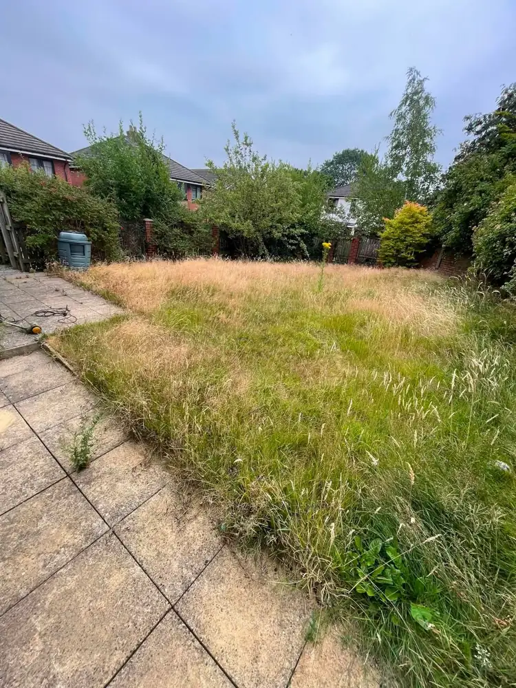 Before: overgrown back garden