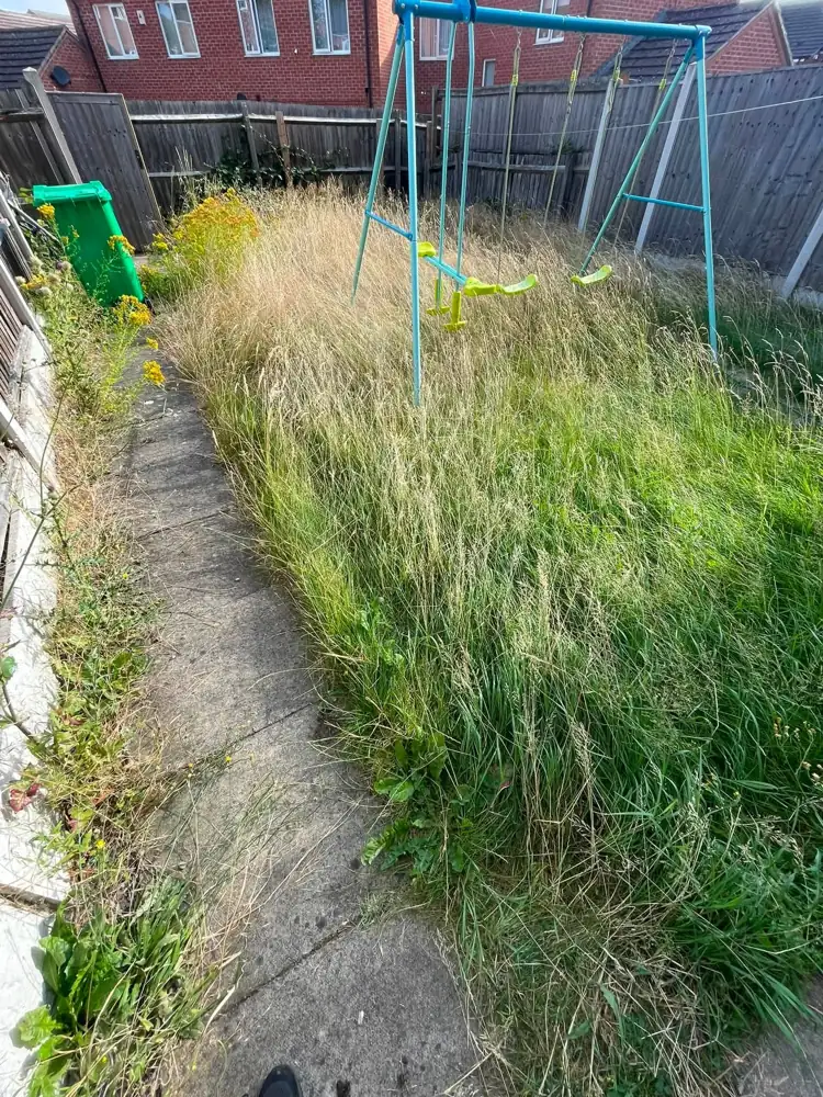 Before: waist high grass