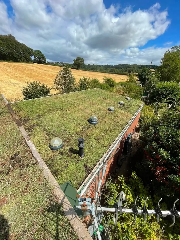 Green roof in the countryside