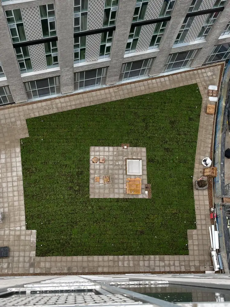 Rooftop courtyard lawn